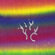 Painting on silk wet on wet technique